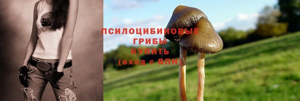 гидропоника Алексеевка