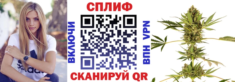 Конопля план  купить наркотик  Нижняя Салда 